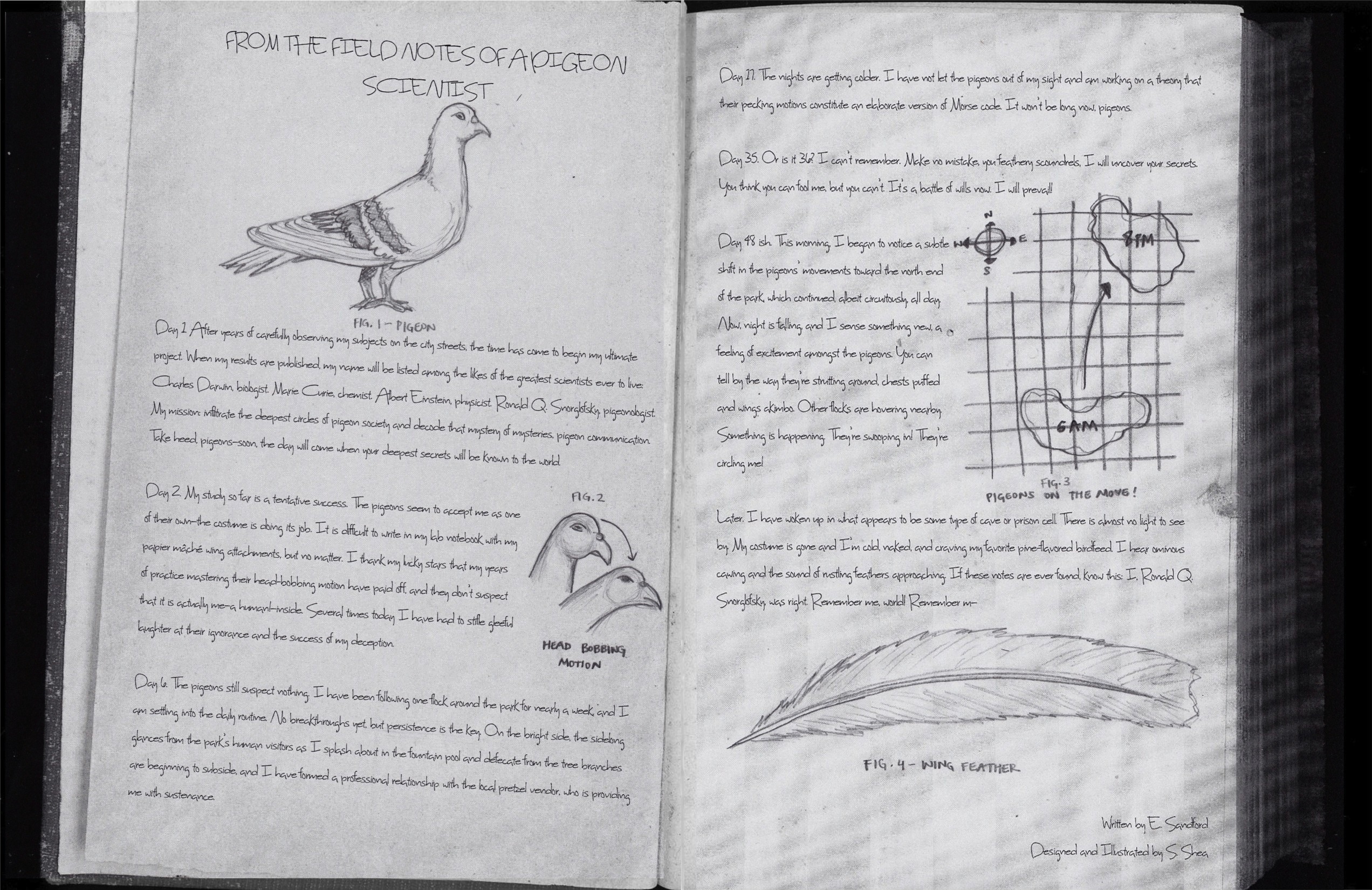 Field notes of a pigeon scientist