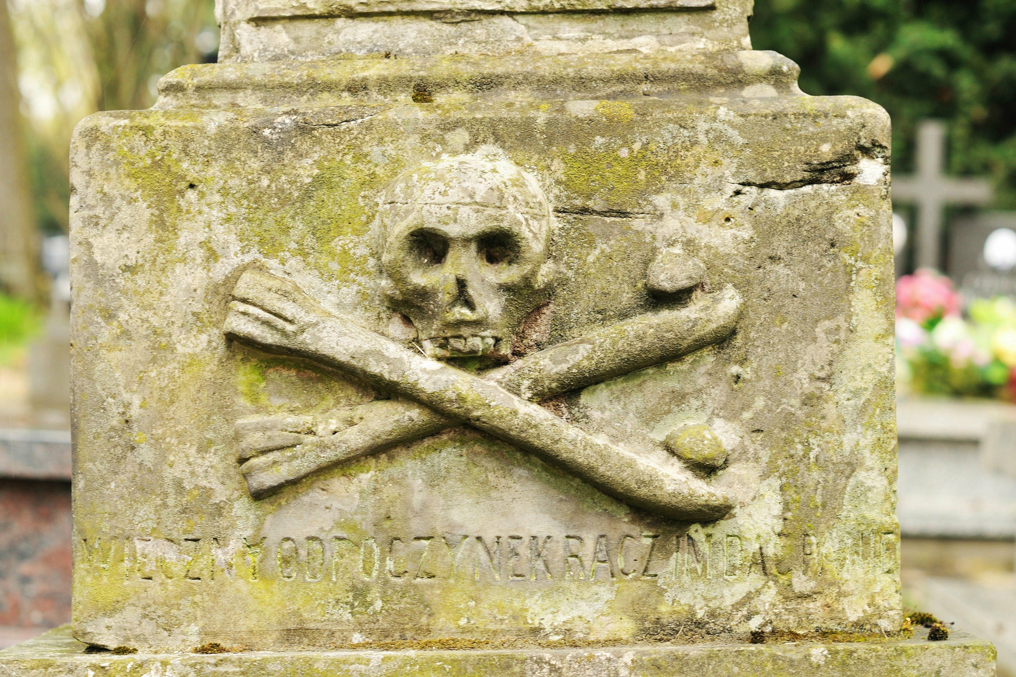 skull and bones yale