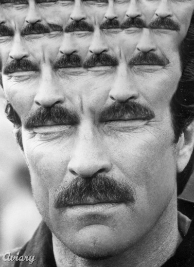 Infinite Tom Selleck by Aviary reposted by The Yale Record at yalerecord.com