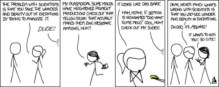 xkcd: Beauty