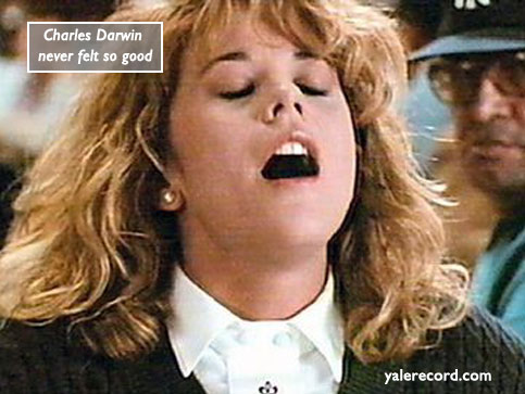 Gerber photoshop of Meg Ryan orgasm scene for The Yale Record college humor magazine