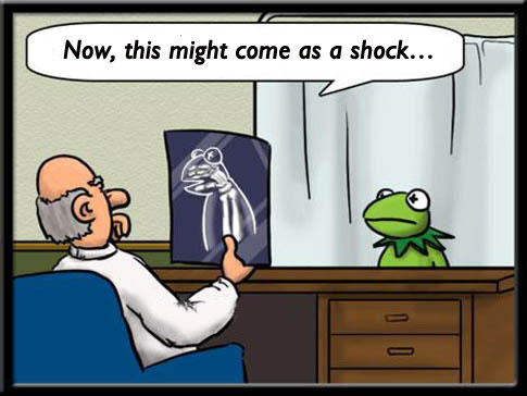 Kermit cartoon with caption slightly improved by MG, reposted by The Yale Record college humor magazine