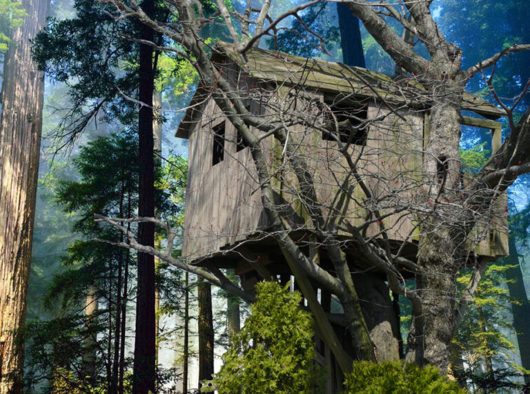 Less Successful Magic Tree House Books
