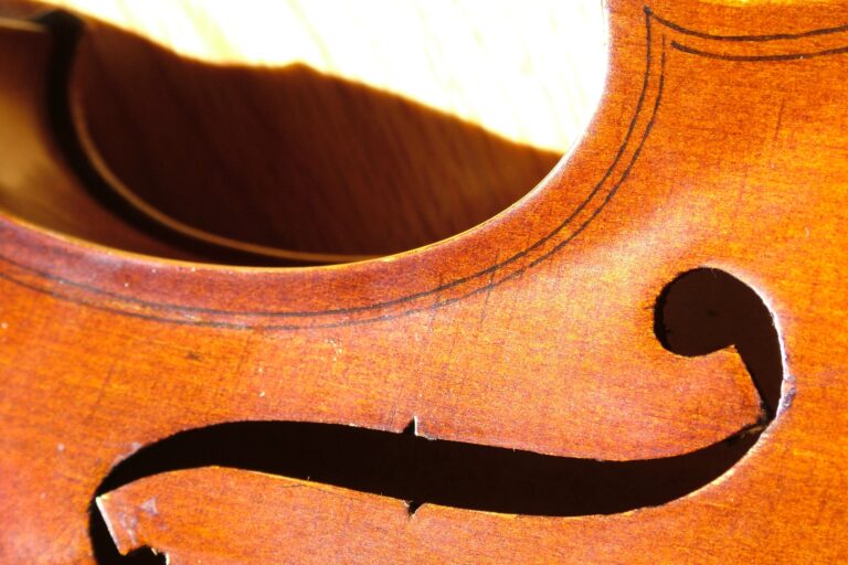 After Halloween Show YSO Violinist Acutely Aware Everything Downhill From Here