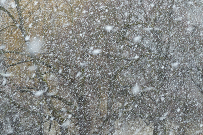 Climate Change Averted As Yale Scientists Harness Power Of Students Bitching About The Weather