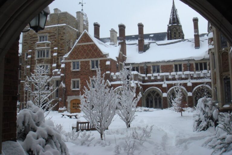 Yale Employee Arrested For Using Broom to Remove Trash from Dining Hall