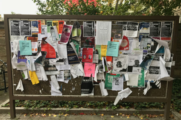 Student Looks at Pinboard