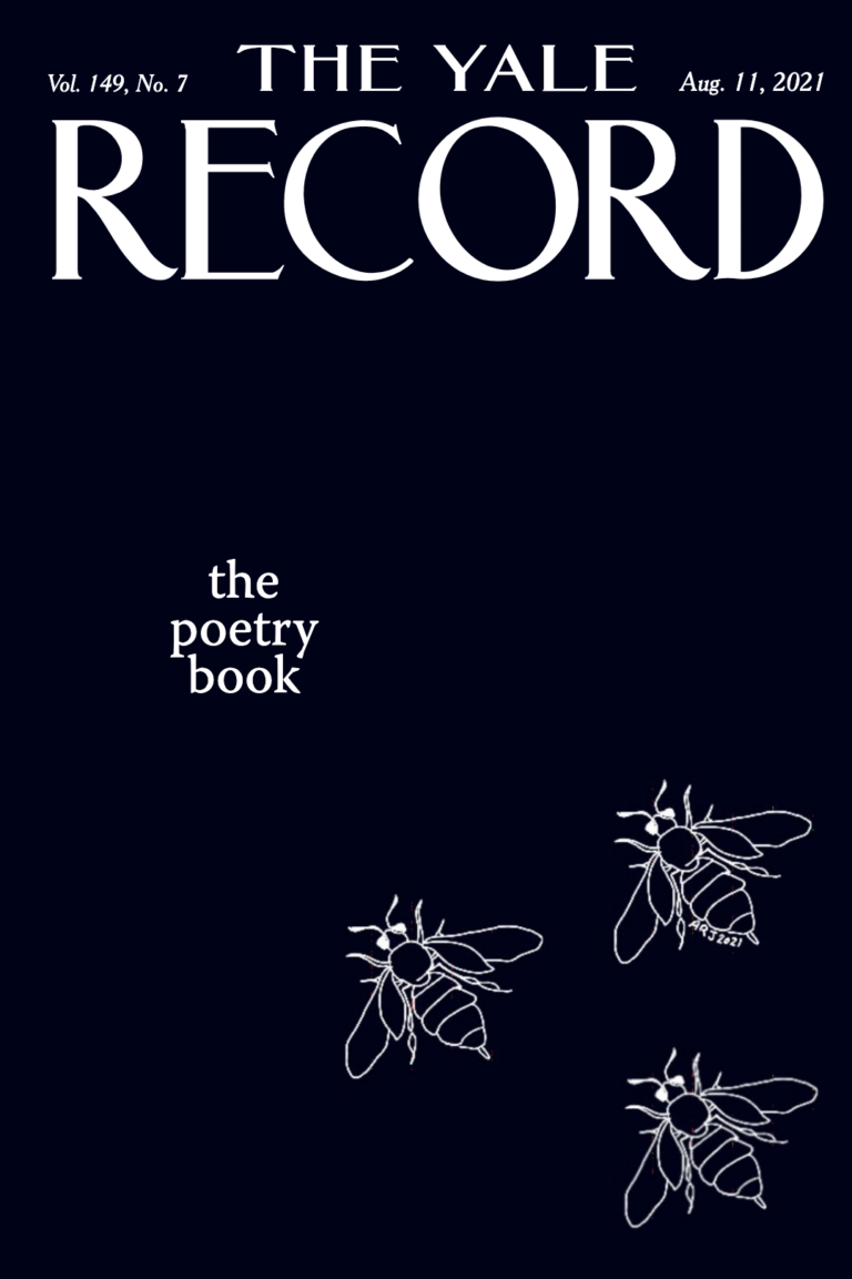 The Record Poetry Book