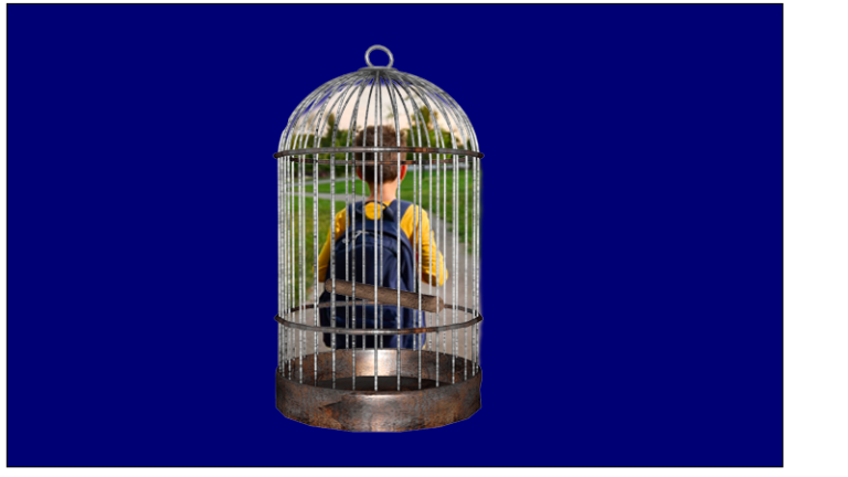 The Caged First Year